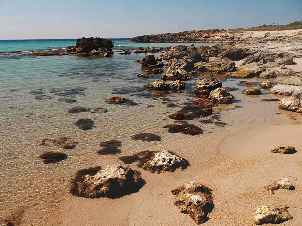 Luxury Beach Villa Puglia Italy 普尔萨诺 外观 照片